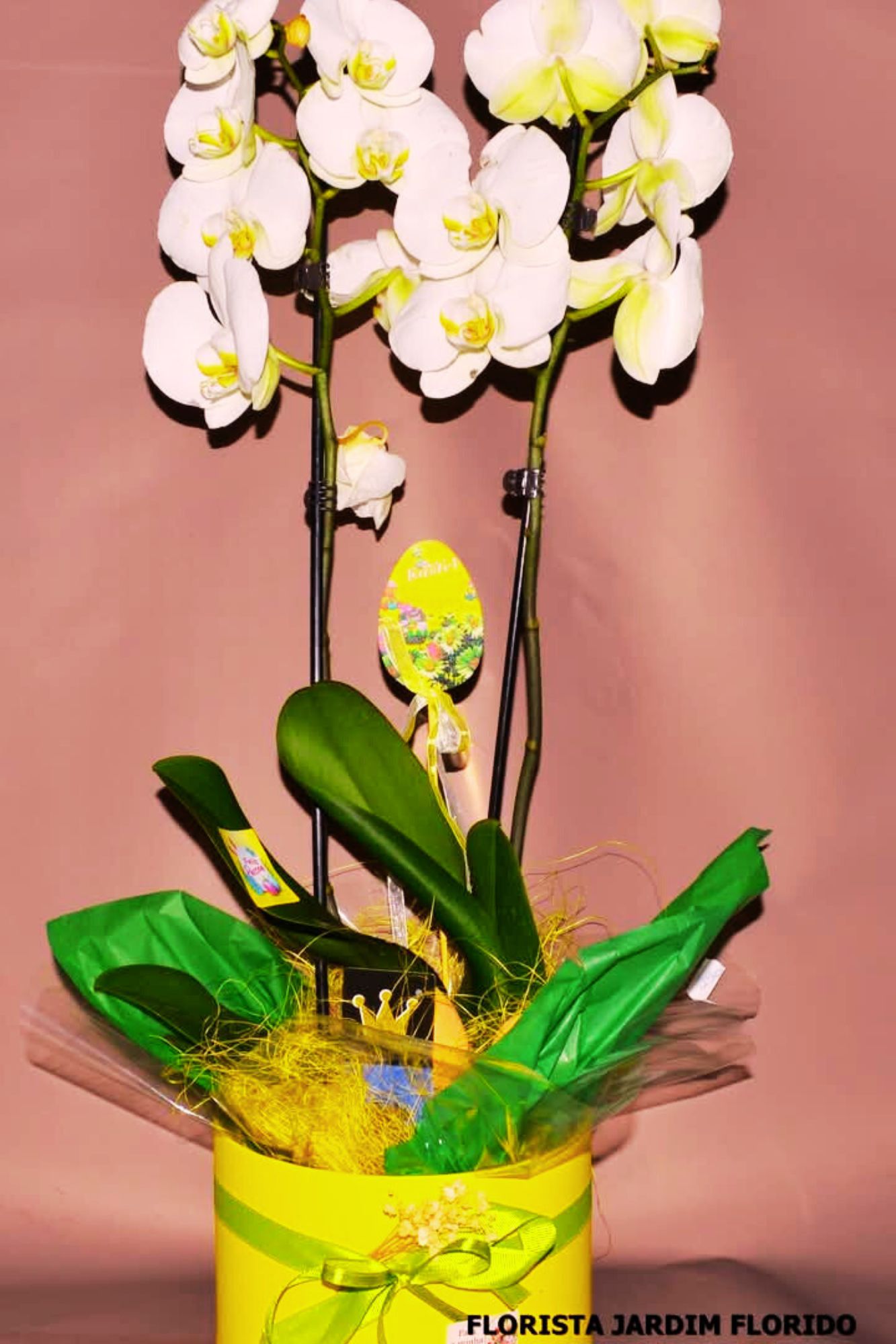 Galeria img12floristajardimflorido