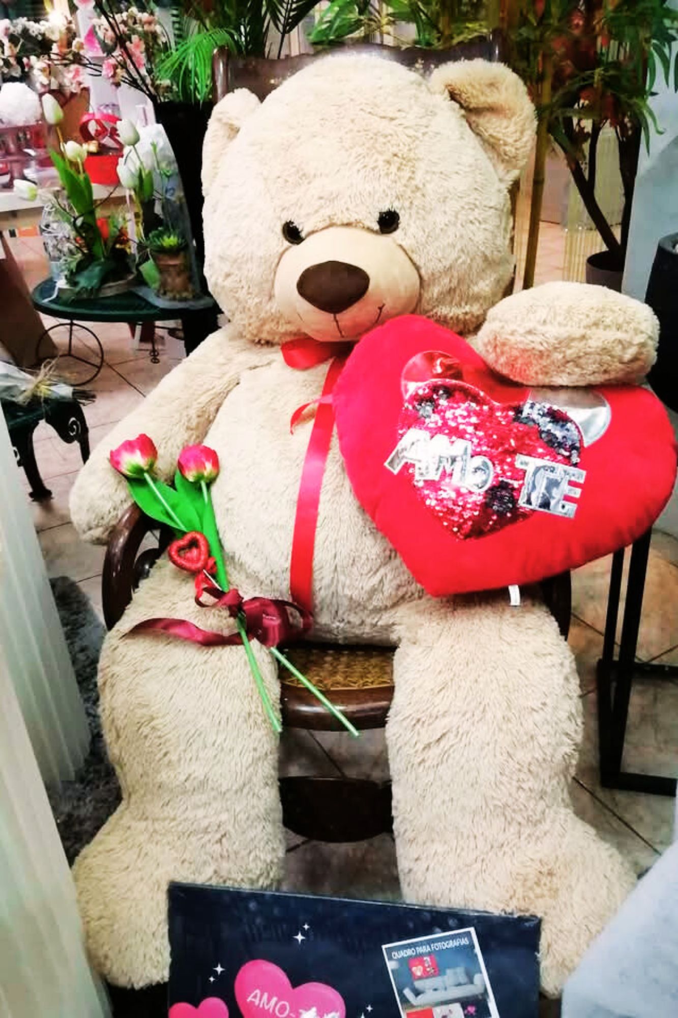 Galeria img14floristajardimflorido