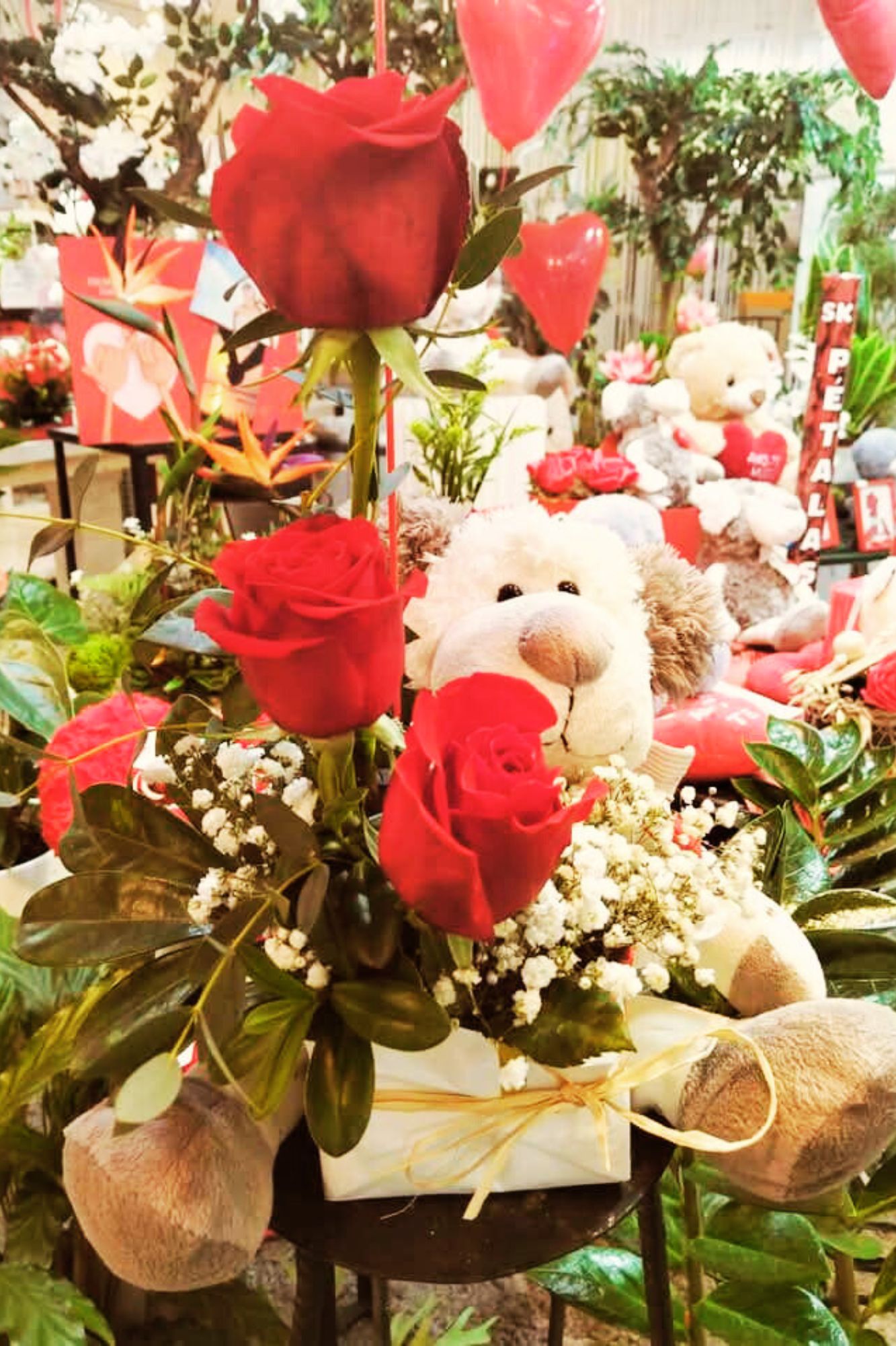 Galeria img20floristajardimflorido