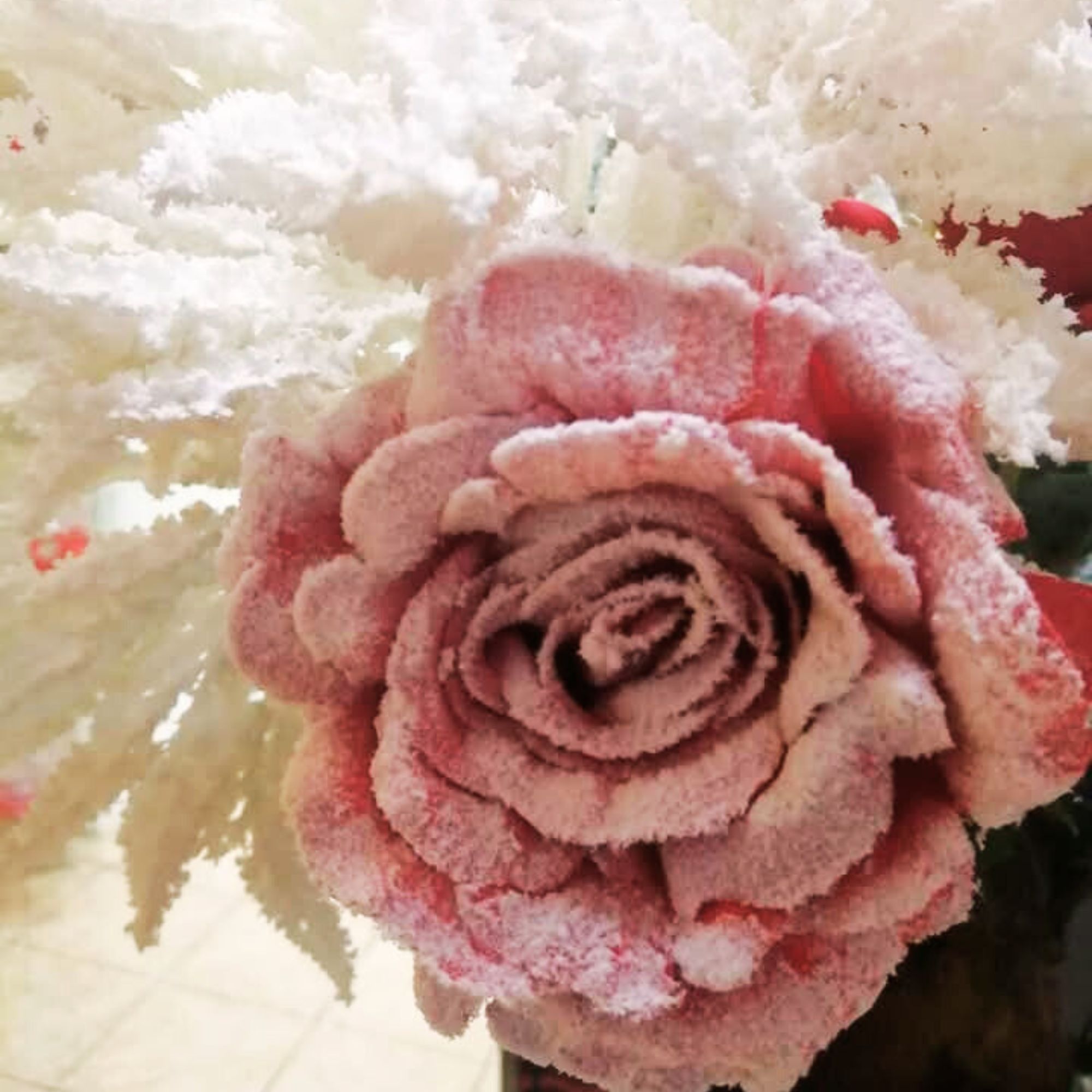 Galeria img8floristajardimflorido